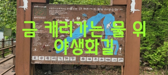연꽃마을 건넌들 이미지
