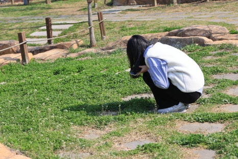 상상수목원 이미지