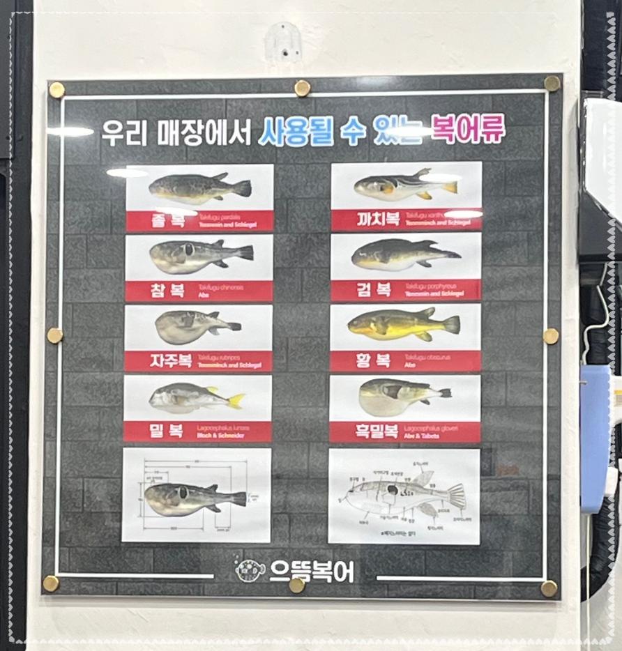 으뜸복어 이미지