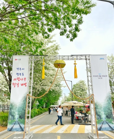 나무랑아이랑 이미지