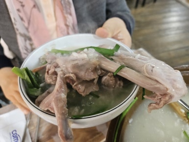 촌골오리 이미지