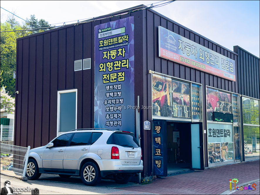 호원덴트칼라 이미지