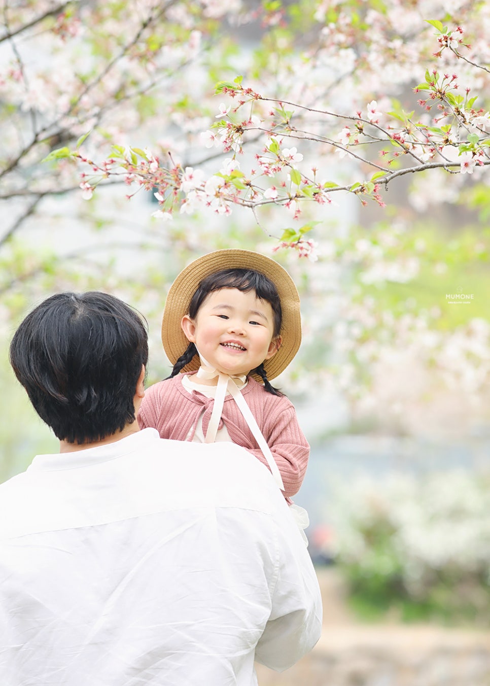 벚꽃사진관 이미지