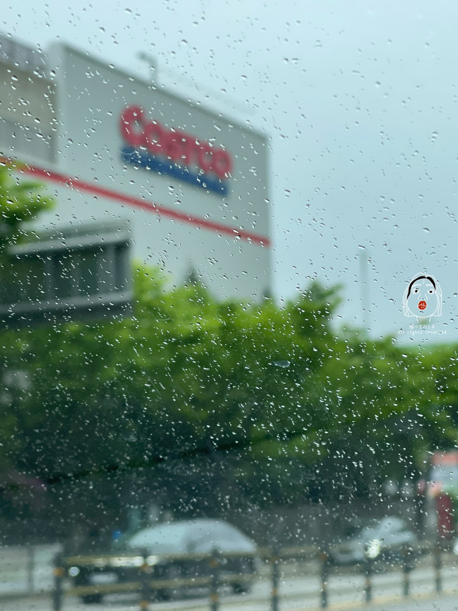 코스트코 홀세일 공세점 이미지