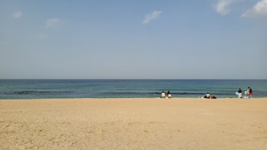 테라커피 이미지