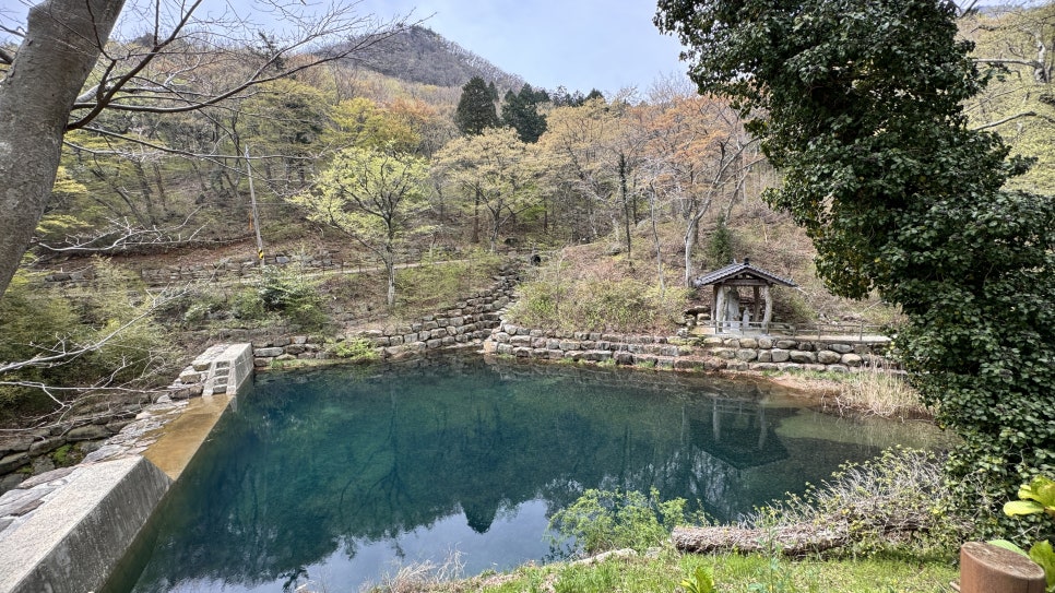 황태칼국수 이미지