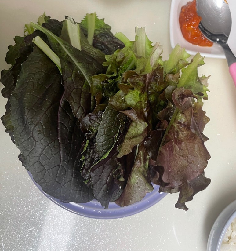루리네 이미지