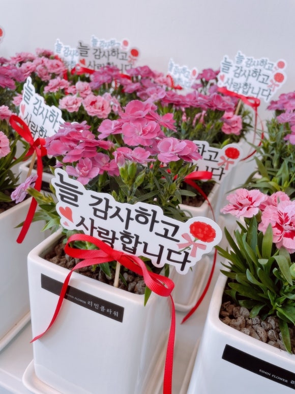 리민플라워원주꽃집꽃다발근조화환화분 이미지