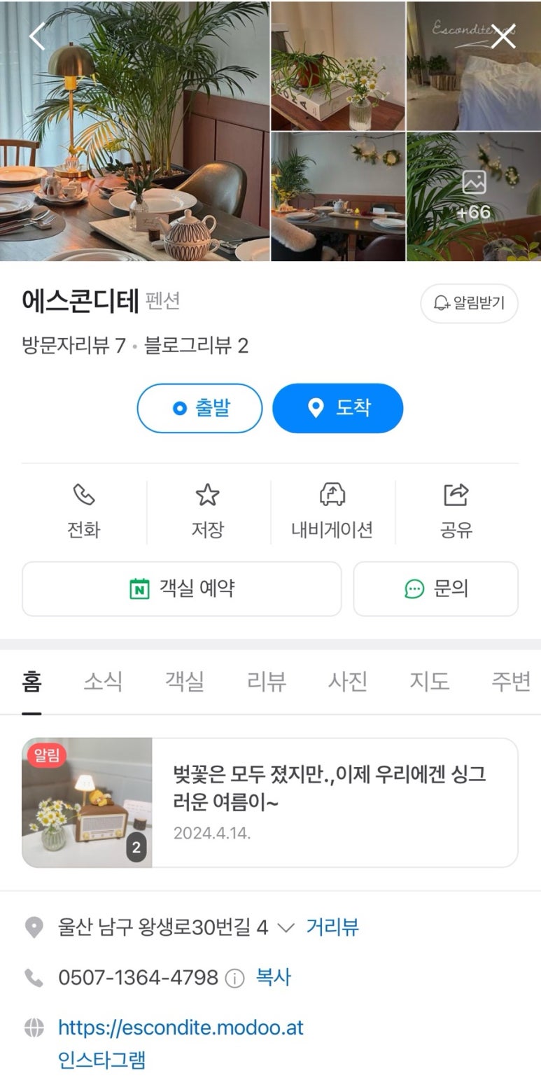 에스콘디테 이미지