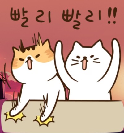다건 이미지