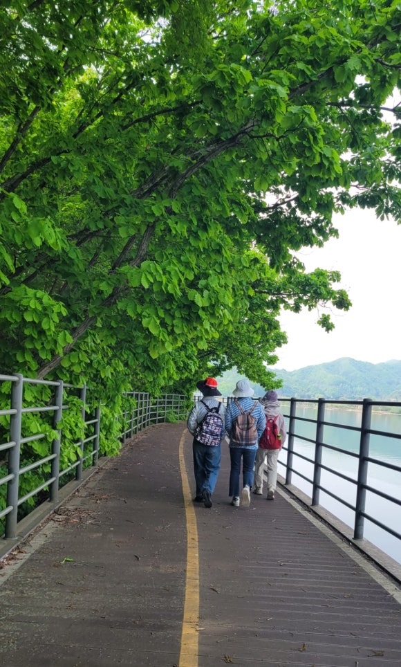 연꽃마을 건넌들 이미지