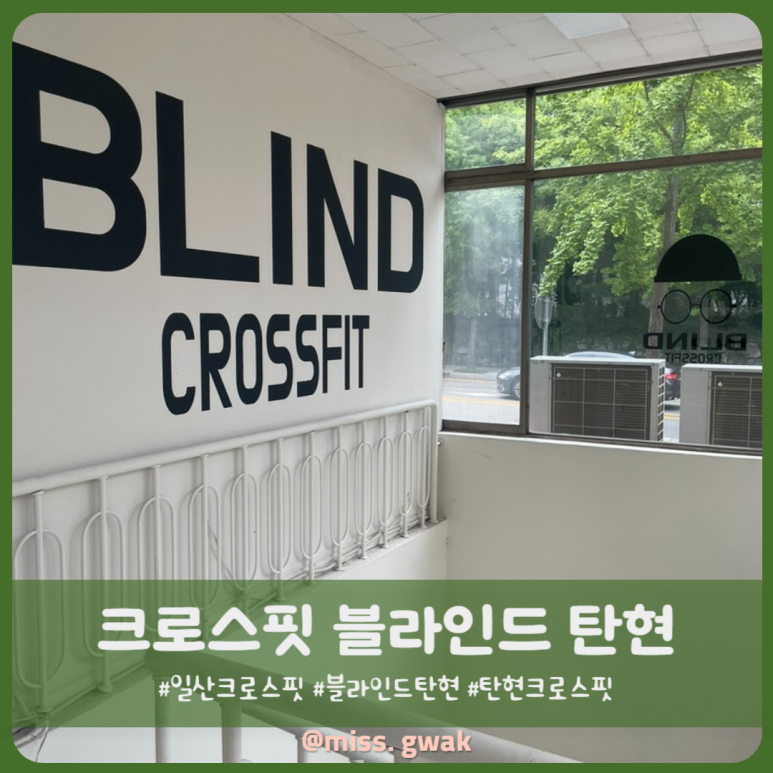 크로스핏블라인드탄현점 이미지