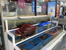 구이일번지 이미지