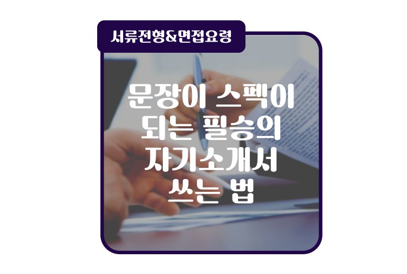 맥시머스원주지점 이미지
