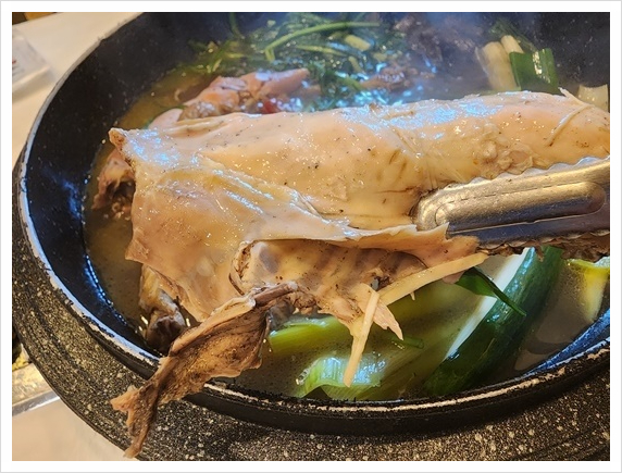 황제오리 이미지