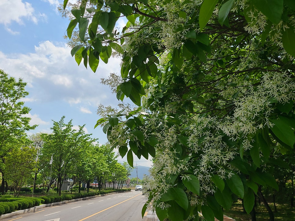 (주)자인 이미지