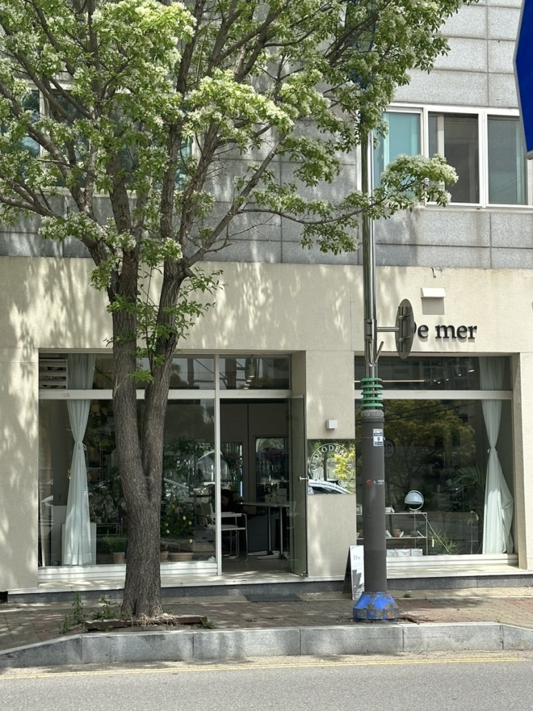 메르플라워 이미지
