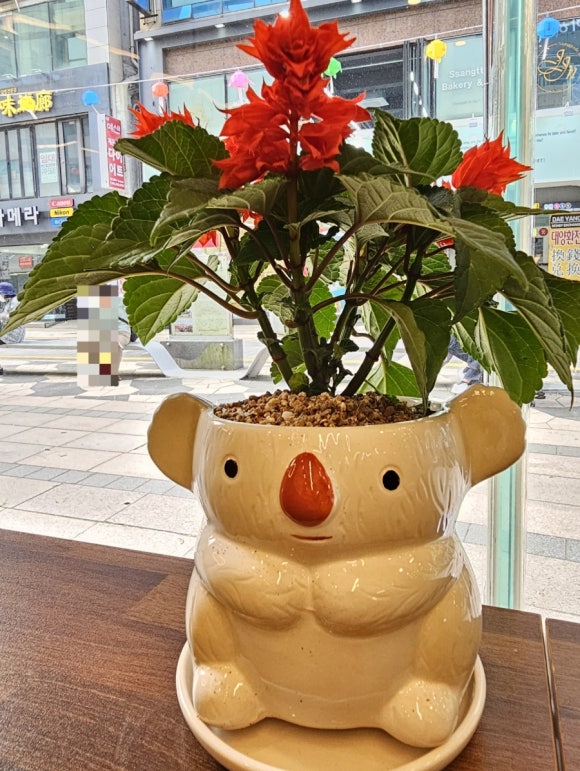 브롱스커피 이미지