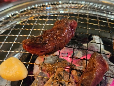 사이집 이미지