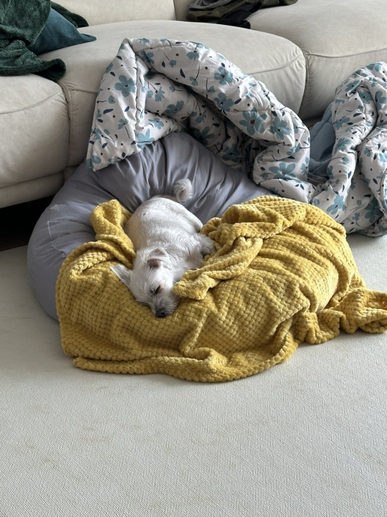 아빈의원 이미지