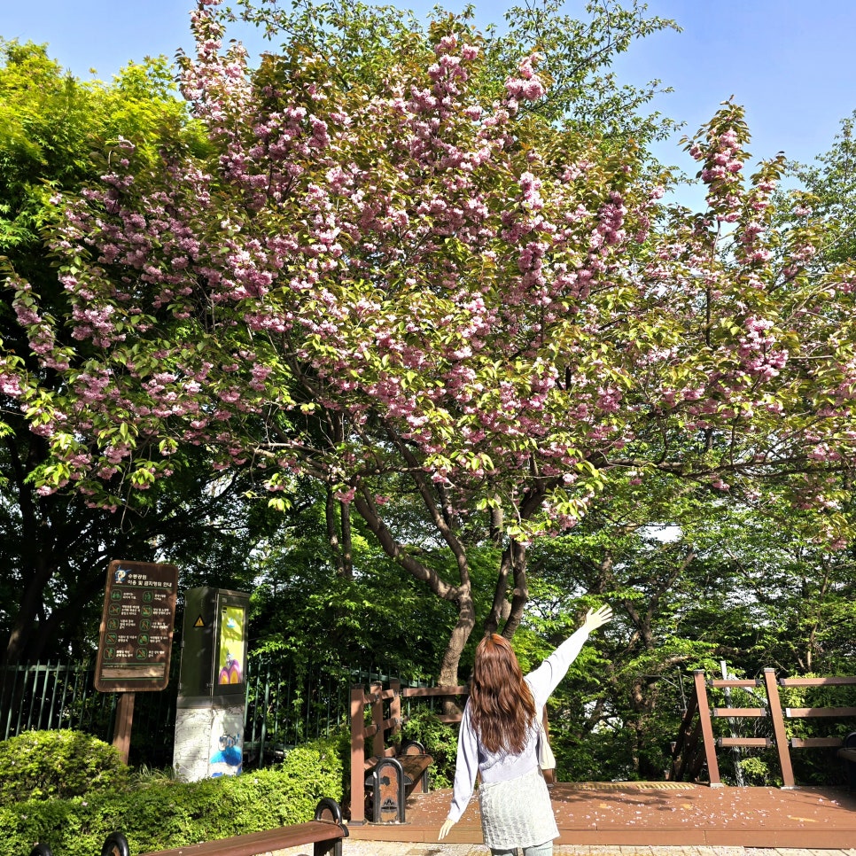 수봉공원광장매점 이미지