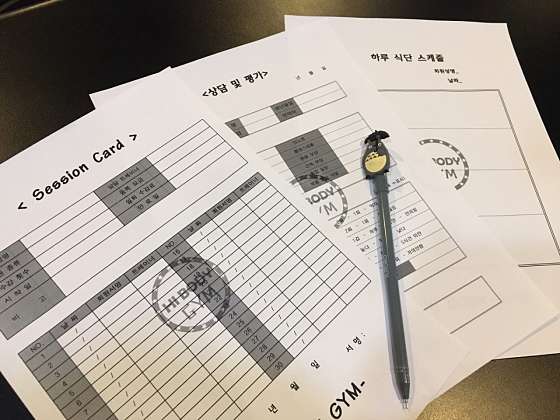 하이바디짐 이미지