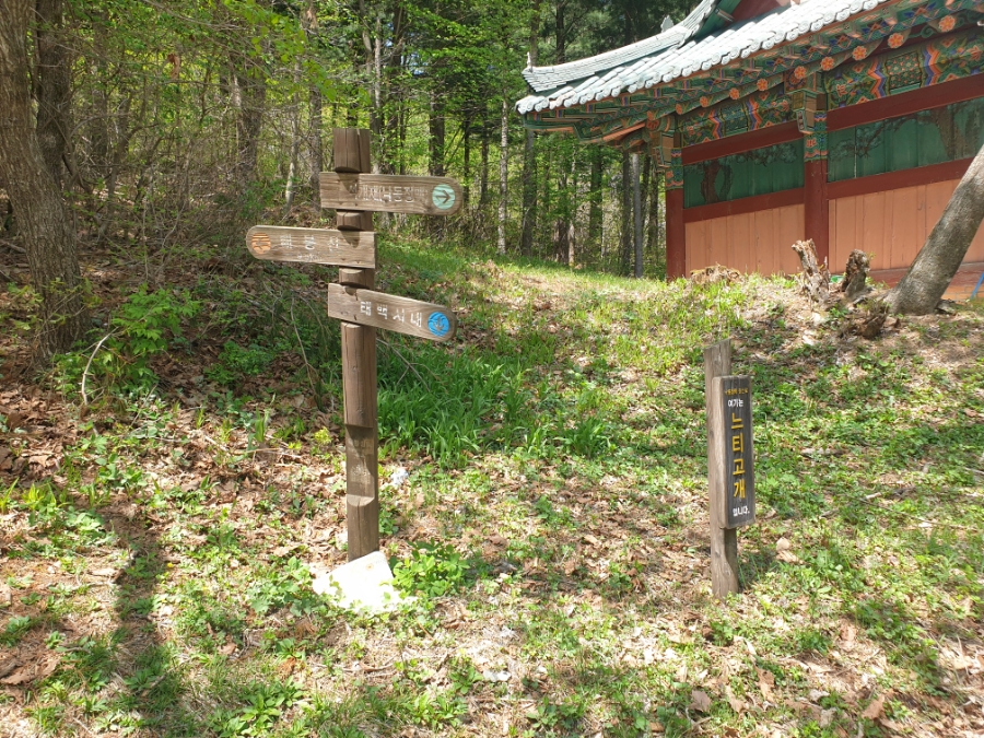 느티버티 이미지