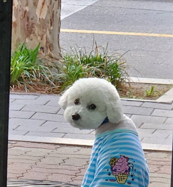 파이브카케어 이미지