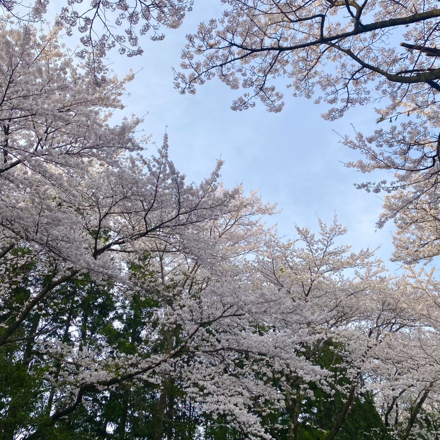 휘떡휘떡 이미지