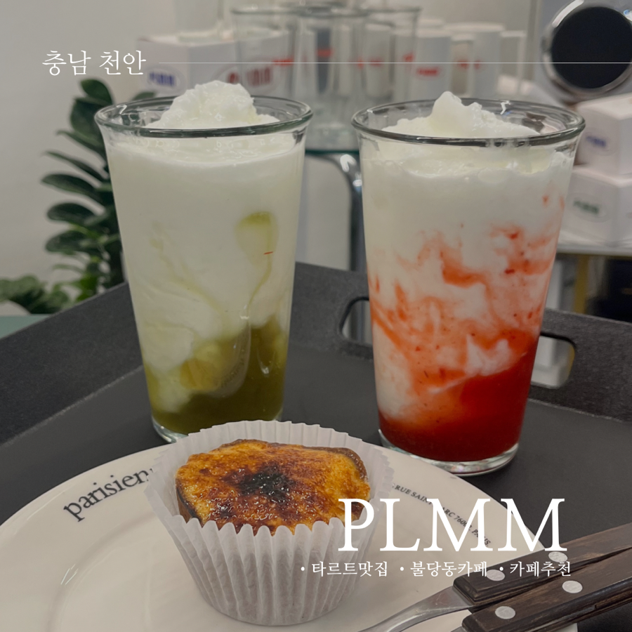 플름(PLMM) 이미지