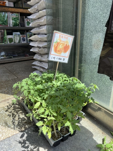 중앙농약사 이미지