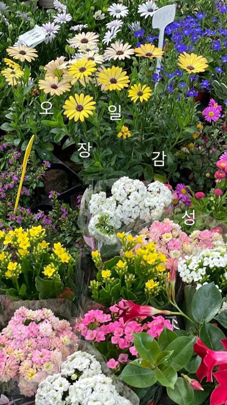 우누커피 이미지
