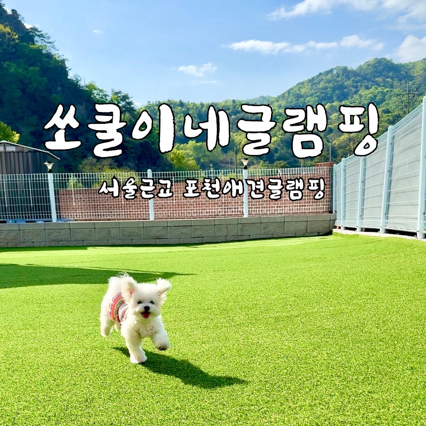 쏘쿨이네 글램핑 이미지