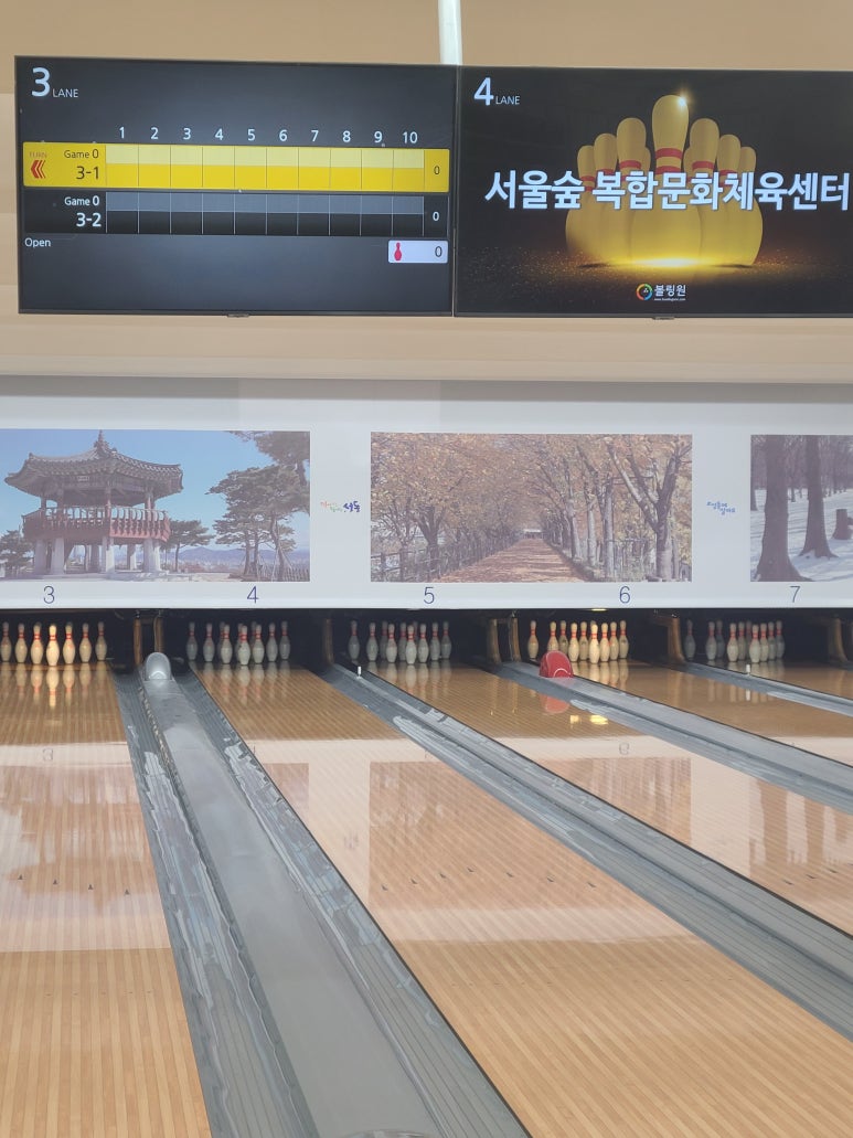 숲볼링장 이미지