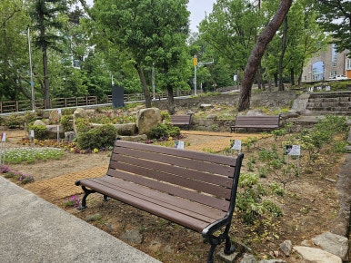 새벽뜰 이미지