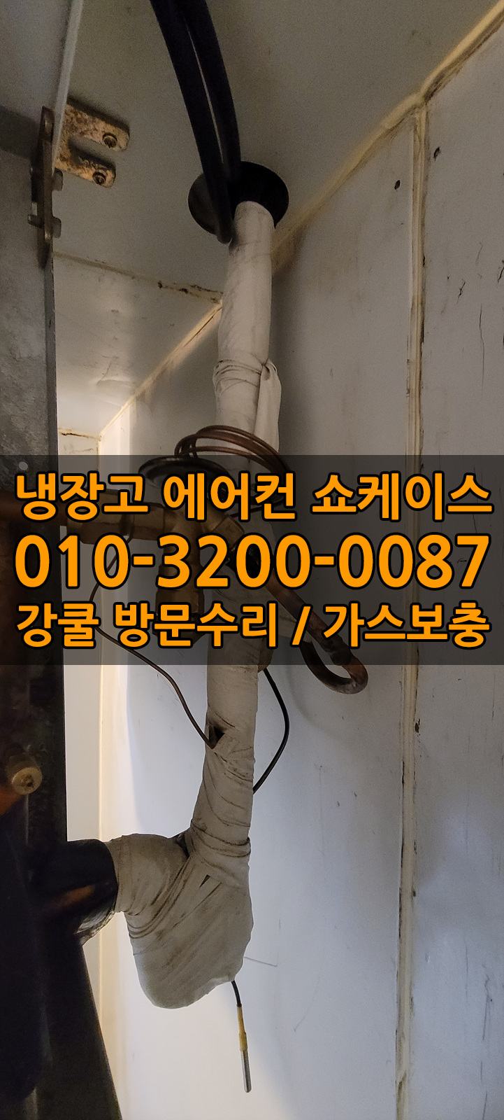 사리가스 이미지