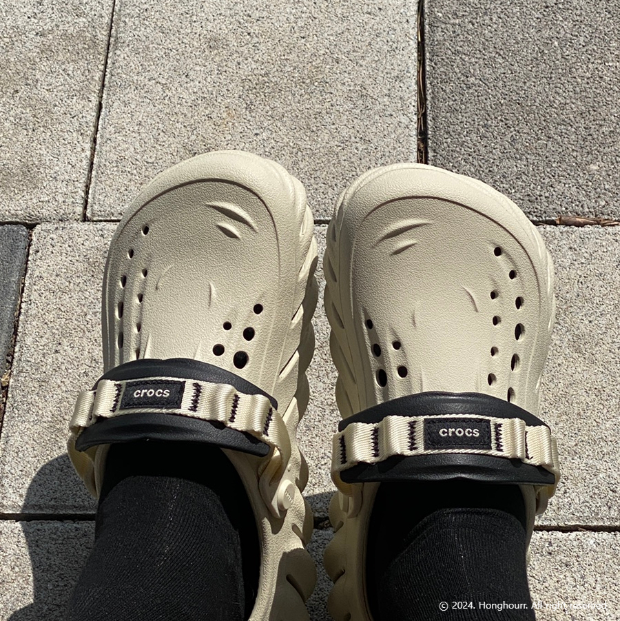 홍주르 이미지