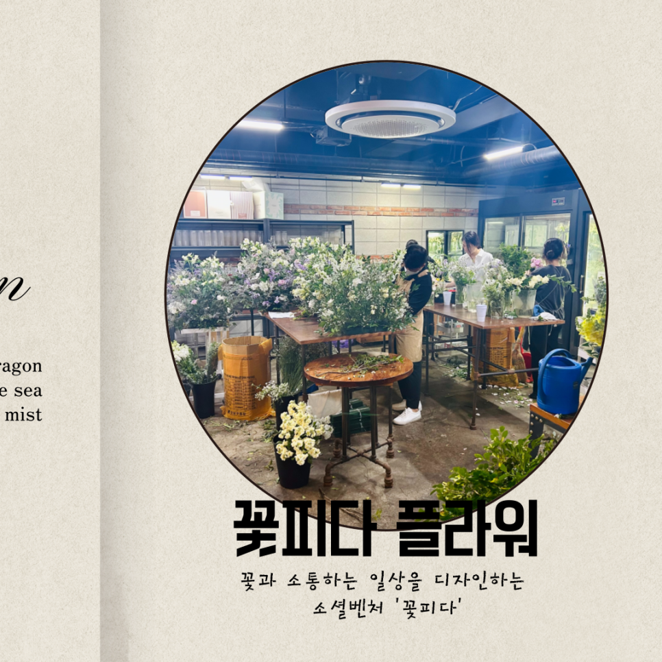 디자인꽃피다 이미지