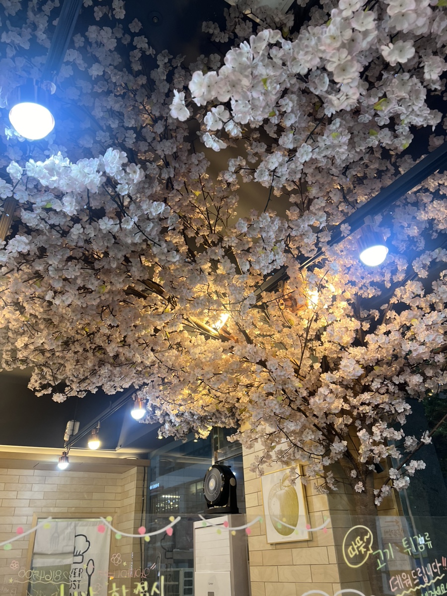 초이스궁 이미지