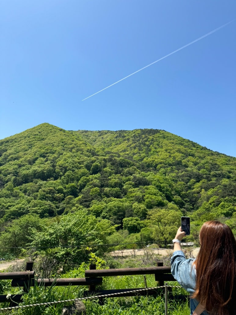 497정원 이미지