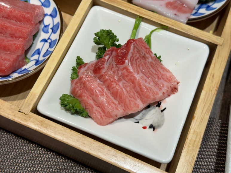카메참치 이미지
