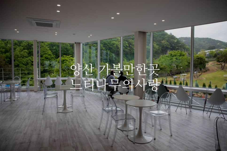 주식회사 느티나무의사랑 이미지