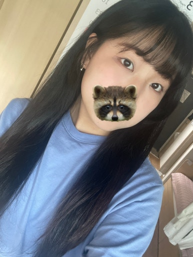 수려하개 이미지