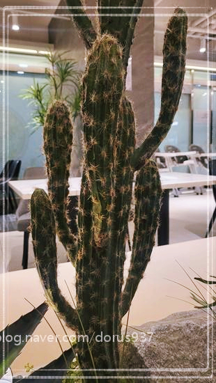 브런치가든 이미지