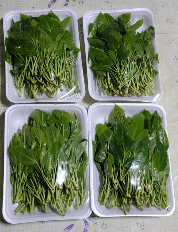 순로컬푸드 이미지
