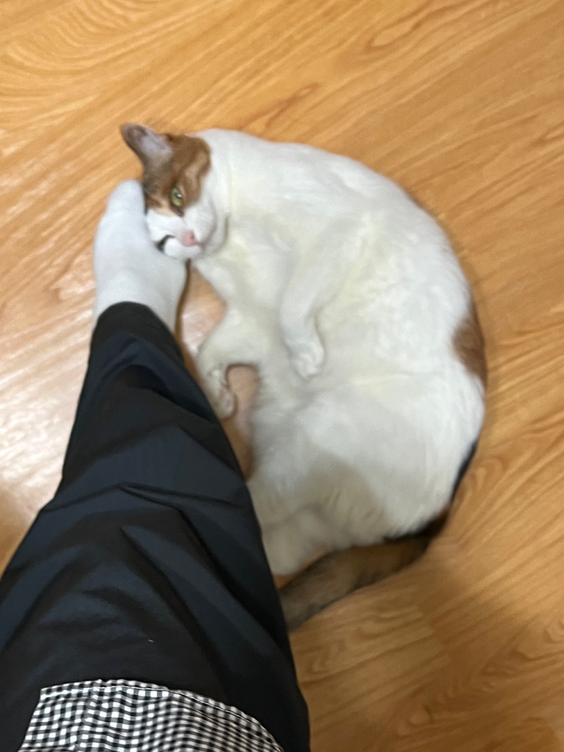 다함께매점 이미지