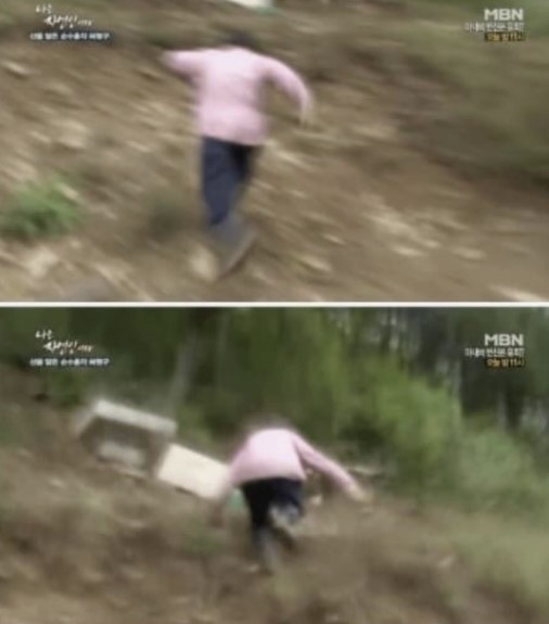 시에스타 이미지