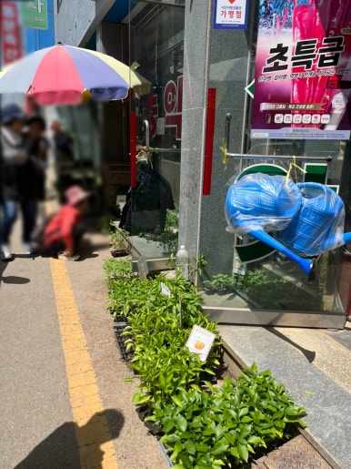 중앙농약사 이미지