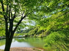 가마실오토캠핑장 이미지