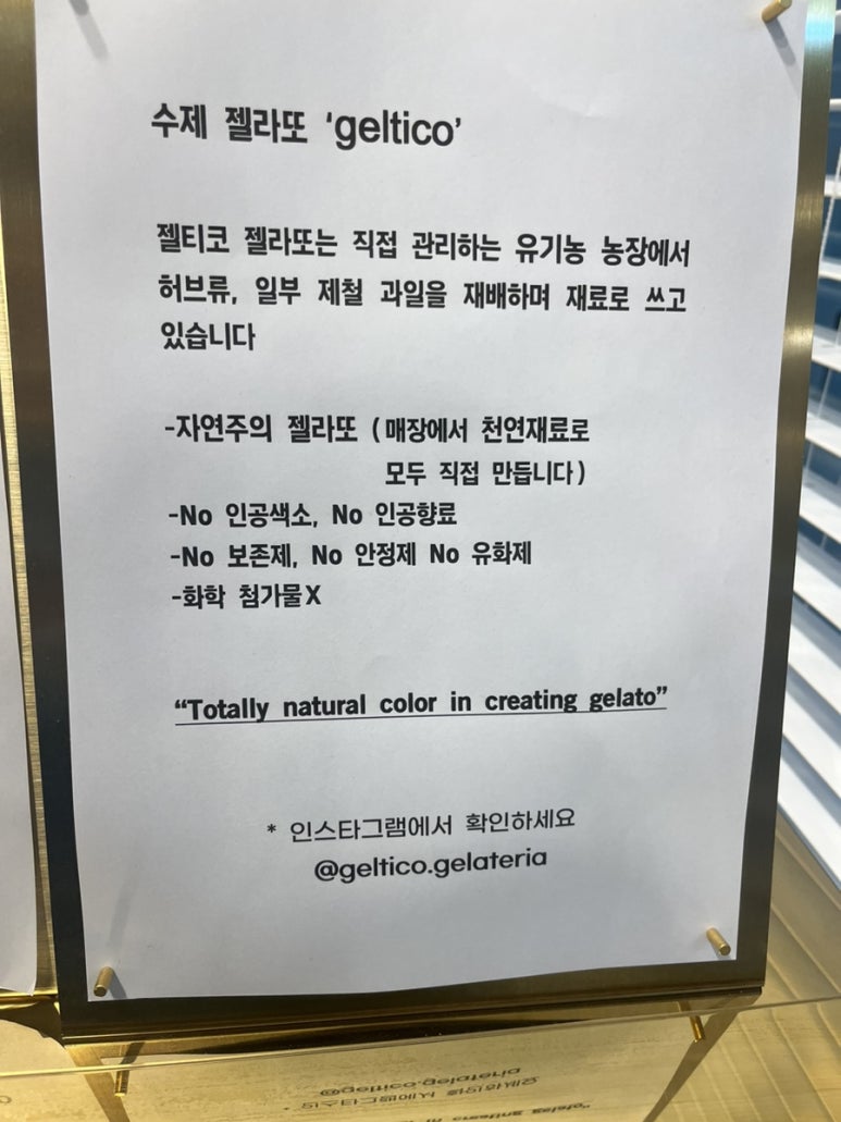 젤티코 이미지